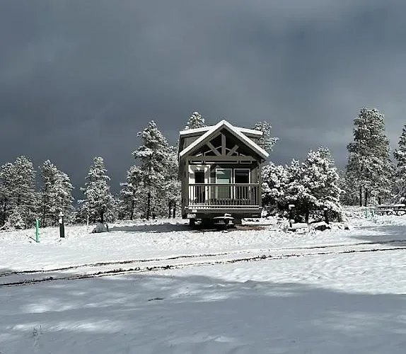 Cozy By Forest View 3b