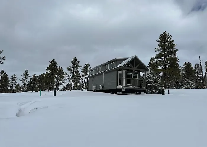Cozy By Forest View 3b Chalet